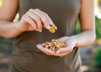 Research reveals that consuming walnuts during pregnancy significantly improves neurodevelopmental outcomes in two-year-olds