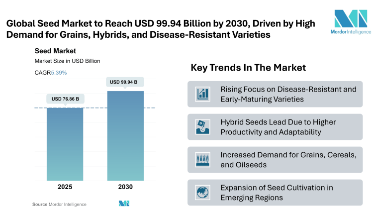Seed Market Size to Reach USD 99.94 Billion by 2030, Says Mordor Intelligence’s Research