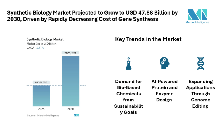 Synthetic Biology Market Projected to Grow to USD 47.88 Billion by 2030, Driven by Rapidly Decreasing Cost of Gene Synthesis