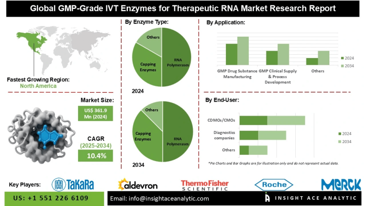 GMP-Grade IVT Enzymes for Therapeutic RNA Market Size Revenue and Emerging Opportunities in RNA Polymerases Capping and Tailoring Enzymes